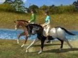 Let's Ride! - Friends Forever