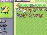 Pokemon Ruby Destiny - Life of Guardians