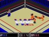 Fire Pro Wrestling Gaiden