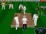 Brian Lara Cricket 96