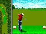 Arnold Palmer Tournament Golf