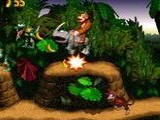 Donkey Kong Country