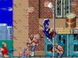 Ninja Gaiden - Shadow Warriors