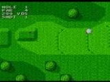 Sega World Tournament Golf