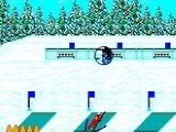 Winter Olympics - Lillehammer '94