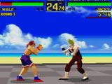 Virtua Fighter