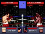 Evander Holyfield Boxing
