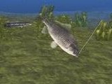 Reel Fishing II