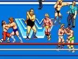 WWF Superstars